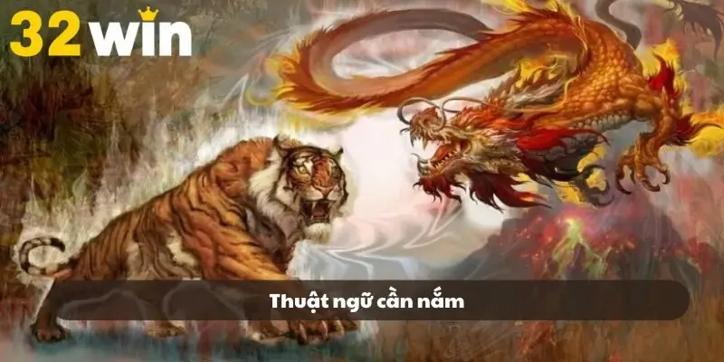 Những thuật ngữ căn bản đơn giản cho người mới